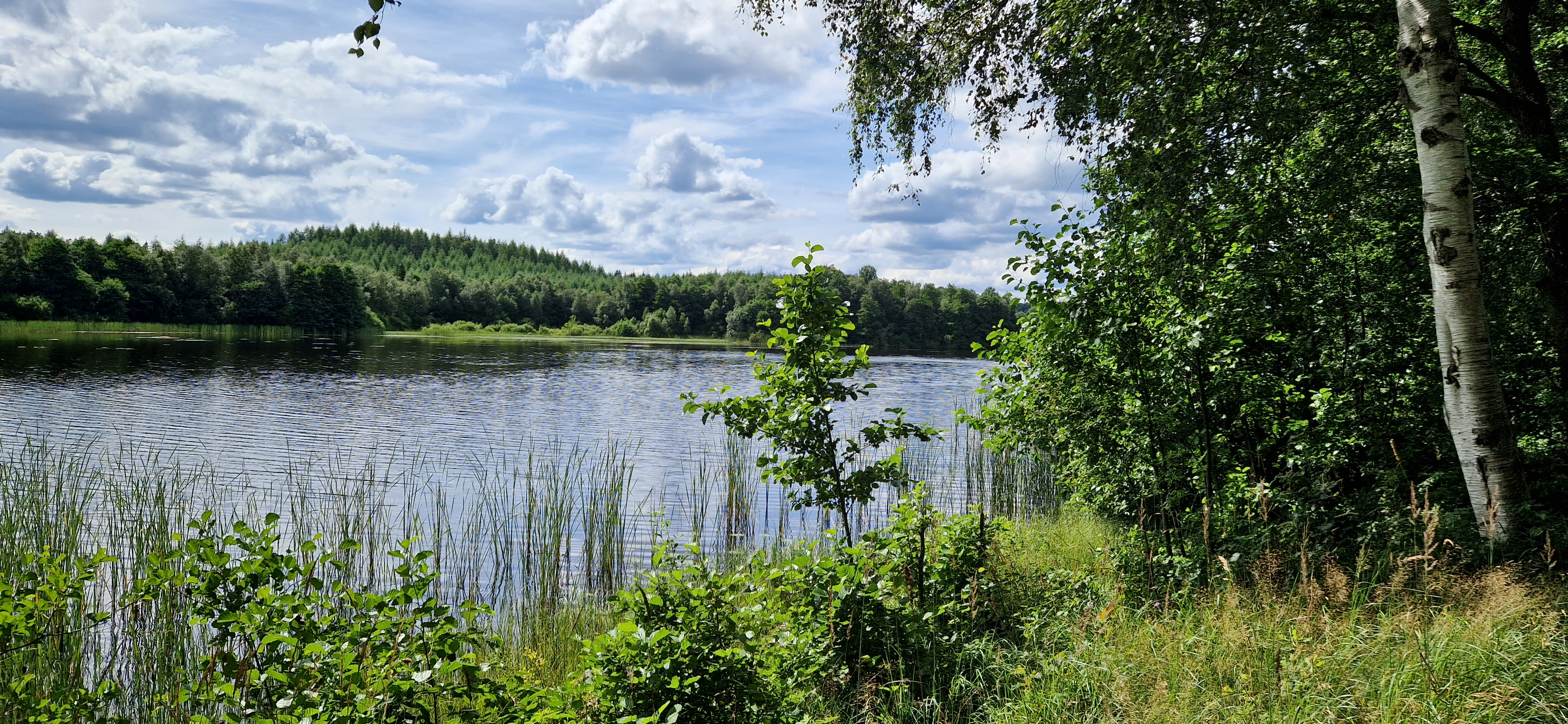 Hårsjön